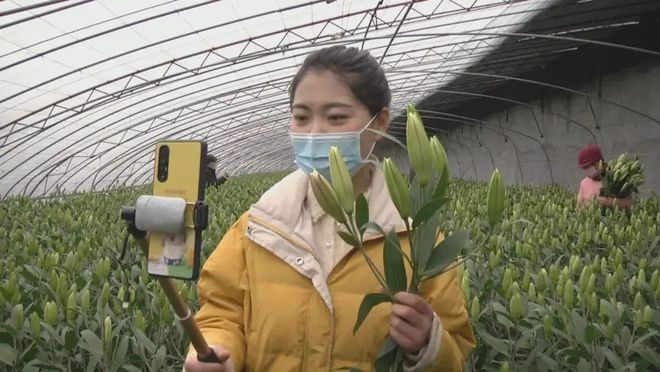 湖南省湘潭市湘潭柏屹產業園 